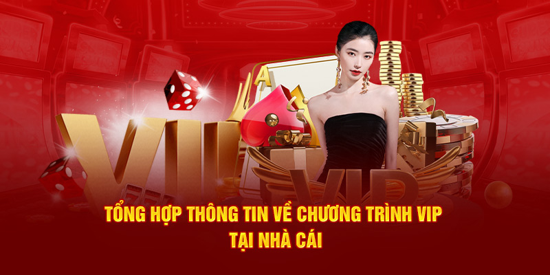 Tổng hợp thông tin về chương trình VIP tại nhà cái